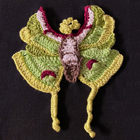 crochet luna moth wall art